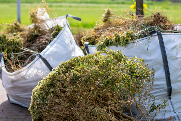 Best Residential Junk Removal  in Culver City, CA
